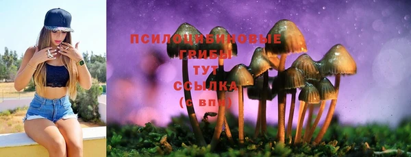 хмурый Алзамай