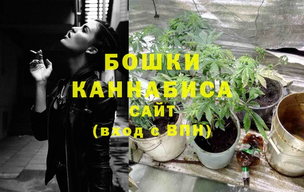 МДПВ Михайлов